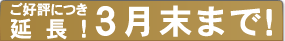 ご好評につき延長!3月末まで!