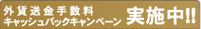 外貨送金手数料キャッシュバックキャンペーン実施中!!