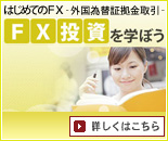 FX�������w�ڂ��i���S�Ҍ���FX����j