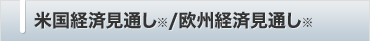米国経済見通し※/欧州経済見通し※