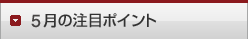 5月の注目ポイント