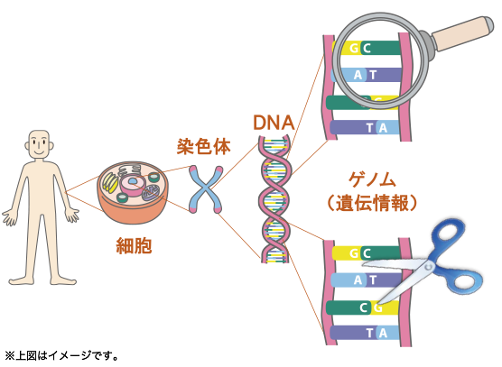 lގjő勉̃Cmx[VBQmv = Qm + QmҏW