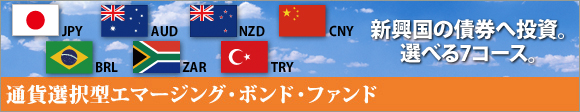 �ʉݑI���^�G�}�[�W���O�E�{���h�E�t�@���h