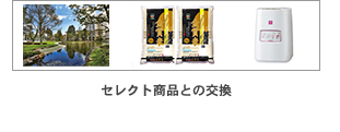 �Z���N�g���i�Ƃ̌���
