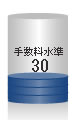�萔������30