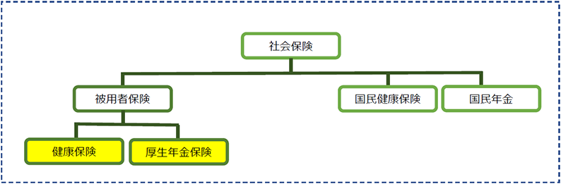社会保険に関わる「壁」