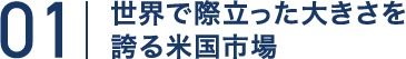 世界で際立った大きさを誇る米国市場