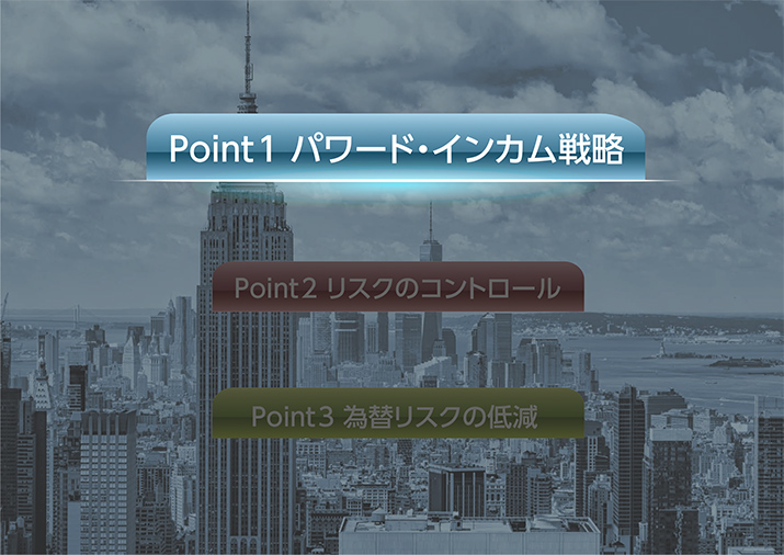 販売用資料 ページ5
