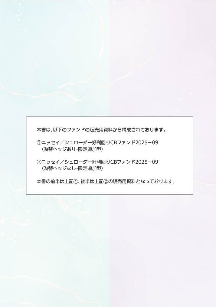 販売用資料 ページ2