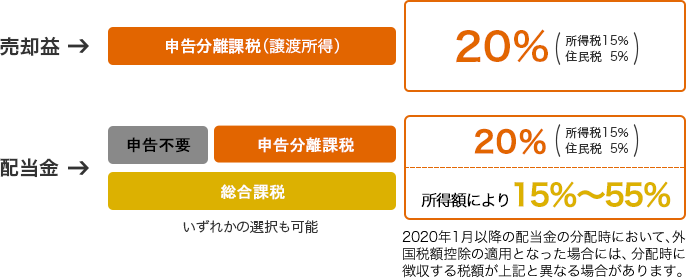 https://www.daiwa.jp/content/dam/daiwasecurities/seminar/study_tax/images/stock_domestic-fig-01.png?utm_source=chatgpt.com