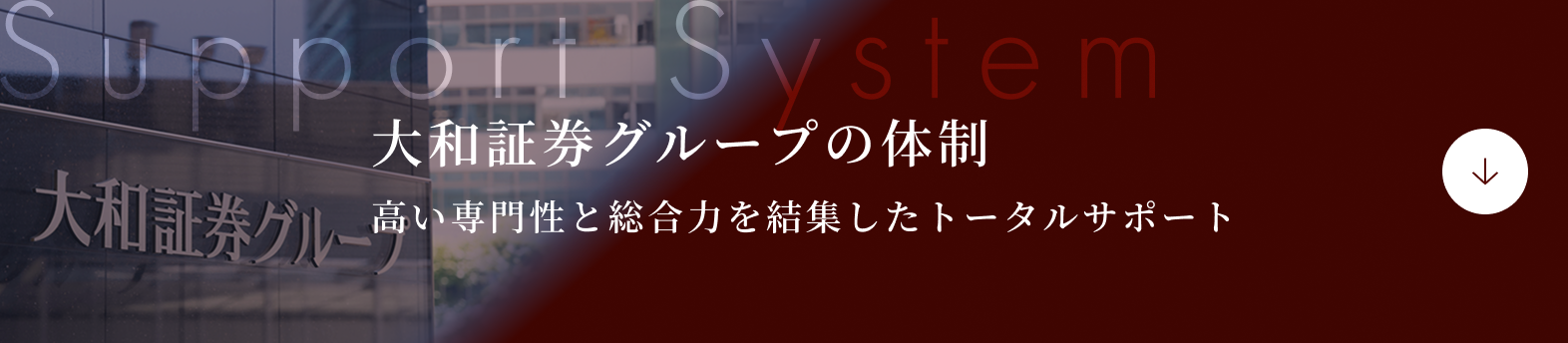 大和証券グループの体制