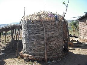 農家庭先のトウモロコシ貯蔵（マラウィ）
