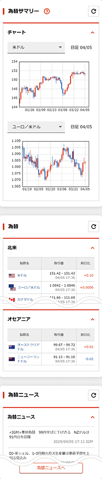 為替 マーケット ヘルプ マニュアル 大和証券