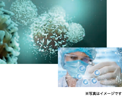 希少疾患や免疫性疾患の治療薬を開発