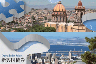 ダイワ・インデックスセレクト 新興国債券 | 投資信託 | 大和証券