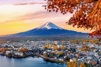 JP�����K���E���{�����헪�t�@���h ���́F�j�b�|���̐�
